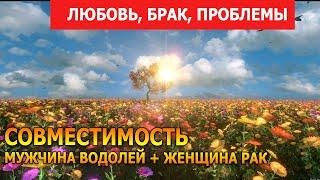 Совместимость мужчины Водолей и женщины Рак