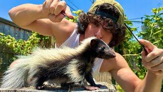 I Caught and Ate a Baby Skunk (cooking tutorial)