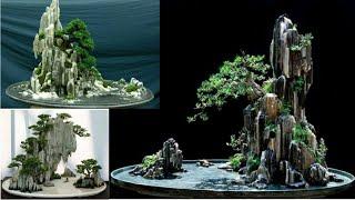 Inspirasi Bonsai Penjing terbaik