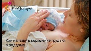 Hotline "Вопрос-ответ" Как наладить кормление грудью в роддоме"