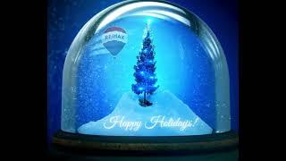 Merry Christmas from your Riverview, FL Realtor.  Tampa Realtor,   Riverview Real Estate