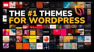 Top 10 Most Popular & Best WordPress Themes (2023)