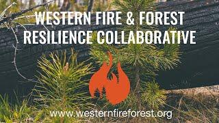 Western Fire & Forest Resilience Collaborative