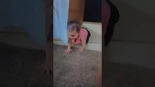 short video #babygirl #trending #short #littel angel Aarna channel