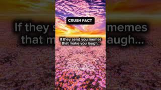 Crush Fact #shorts #psychologyfacts #crush #fyp