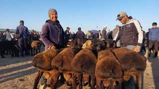 20.10.2024 КУЗИ КУЧКОРЛАРНИ ЗУРЛАРИ ЧИКДИ КАРШИ КАРВОН МОЛ БОЗОРИГА