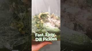 Fast, Fresh Dill Pickles  #cooking #recipe #mealprep #freshpickles