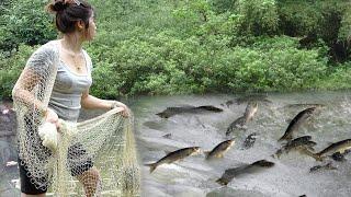 Fishing Technique: How To Trap Stream Fish and Traditional Fishing with  Net, Catch a Lot Of Fish