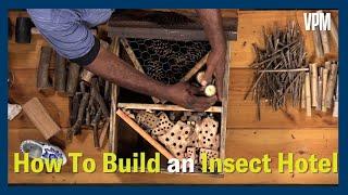 Learn how to build an insect hotel for your backyard