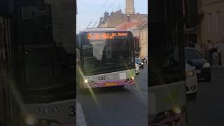 (șofer de miliarde) Troleibuz Solaris Trolino 18 #305 pe linia 25 (@eurotransBC18STB)