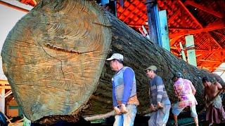 Increíble habilidad para cortar madera de teca || El aserradero de teca más grande del mundo