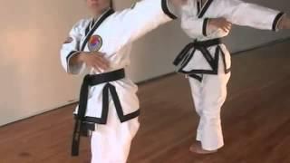 Hapkido World Martial Arts Center Won Kang