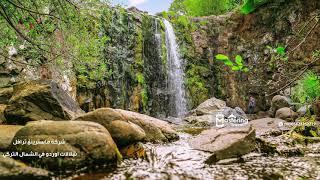 شلالات اوردو في تركيا - تأجير سيارة خاصة مع سواق في اسطنبول 00905523252222 شركة Mastering Travel