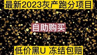 灰产黑U兑换捞偏门项目，长期稳定冻结包赔，单单稳定赚取千元