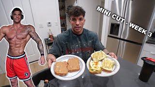 MINI CUT WEEK 3 -FULL DAY OF EATING (OFF SEASON)