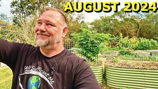 Full Raised Bed Vegetable Garden Tour August 2024