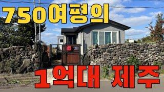 750여평의 땅을 깔고 있는 1억대 21년 신축 주택 경매물건 바다도 가깝네…