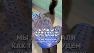 Лучшая коточесалка #семейныйблог #животные #смешныевидео #смешныеживотные #cat #коточесалка #кошки