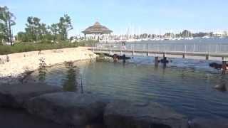 Toronto Waterfront Humber Bay Park Bike Ride To Norris Cres Park