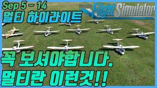 플라이트 시뮬레이터 2020│플심 멀티의 최고봉│시참 단체 비행│대규모 멀티 하이라이트│누구나환영│매너필수│Microsoft Flight Simulator 2020