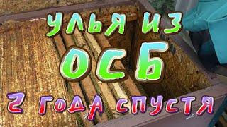 УЛЬЯ ИЗ ОСБ 2 ГОДА СПУСТЯ.