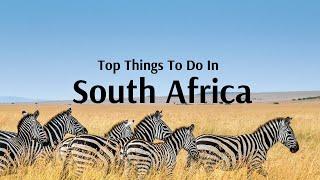 Top Things To Do & Places To Visit in South Africa - Flamingo Travels