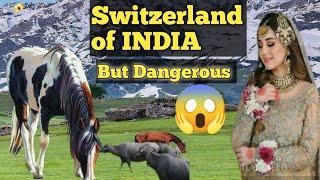 Dangerous Nights with bear fight
