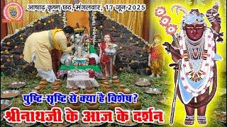 कुण्डवारा का मनोरथ, नाव मनोरथ के दर्शन दक्षिण की कौनसी हवेली से है? खसखसी मलमल के वस्‍त्र में दर्शन।