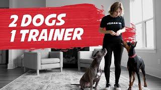 2-Dog Training Session and Tips: Unedited