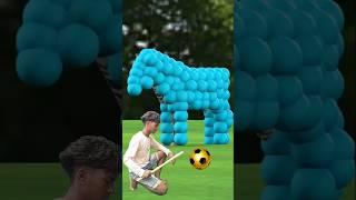 The_mascot_zodiac_Zebra_placed_on_the_football_field._What_is_your_zodiac_sign__Douyin_Assistant_Po