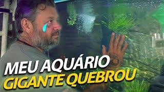 MEU AQUÁRIO GIGANTE QUEBROU! | A CASA DOS BICHOS