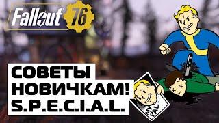 ВСЁ О СИСТЕМЕ S.P.E.C.I.A.L.! СОВЕТЫ НОВИЧКАМ! ️ FALLOUT 76