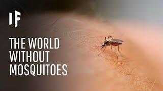 What If We Killed All Mosquitoes?