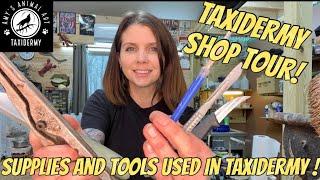 Get started in TAXIDERMY! Tools & Supplies of the trade. Tour my workshop!