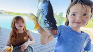 MAKiNG FiSH TRAPS with Niko and Adley!!  how to catch Piranha Pirate Fishes for $1 dollar family diy