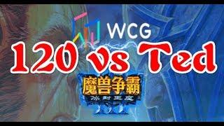 【WCG 系列】【G3】WCG 2019 中国区决赛 Ted vs 120