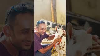 Bakra Ignored Me | Hammad Khatri shorts