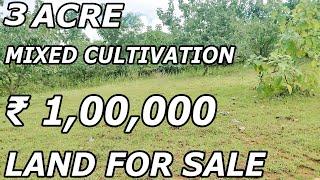 3 ACRE RED SOIL LAND FOR SALE | MIXED CULTIVATION LAND | PER ACRE ₹ 1,00,000 | PROPERTY PROMOTION TV