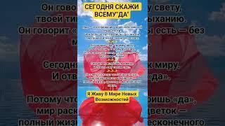 СЕГОДНЯ СКАЖИ ВСЕМУ ДА#осознанность #вселенная #душа #вселенная #топ #исцеление #счастье #сила