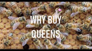 Why Buy Queens