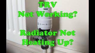 Radiator Not Heating Up After Summer - TRV Thermostatic Valve stuck in position - No Hot Water Flow