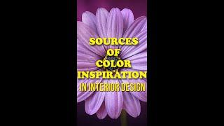 TOP 5 SOURCES OF COLOR INSPIRATION IN INTERIOR DESIGN #shorts