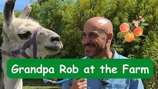 Grandpa Rob Goes to the Farm & Meets the Animals #toddlerlearning #preschoollearning