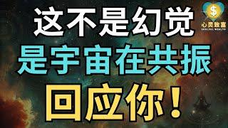 你最近的感觉，不是幻觉，而是宇宙在共振回应你！| 心灵致富 Soulful Wealth