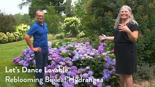 Gardening Simplified Show - Summer Garden Tour 2023