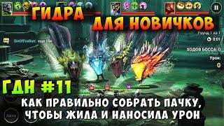 RAID SHADOW LEGENDS, ГИДРА ДЛЯ НОВИЧКОВ, КАК СОБРАТЬ ПАЧКУ, ЧТОБЫ ЖИТЬ И НАБИВАТЬ, ГДН #11