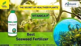 Compo Expert Vitanica P3 - Liquid Organic Mineral Seaweed Fertilizer | Agricare Corporation Noida