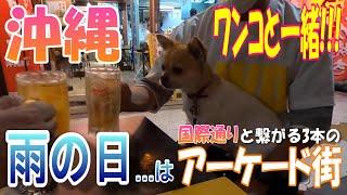 [Kokusai Street] [Rain] [Makishi Public Market] [Arcade] [Okinawa Trip] [Dogs] Mutsumibashi Street