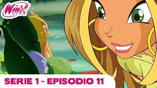 Winx Club - Serie 1 Episodio 11 - Il regno delle Ninfe - EPISODIO COMPLETO