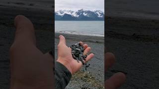 Pebbles on the beach! #nature #travel #travelvlog #alaska